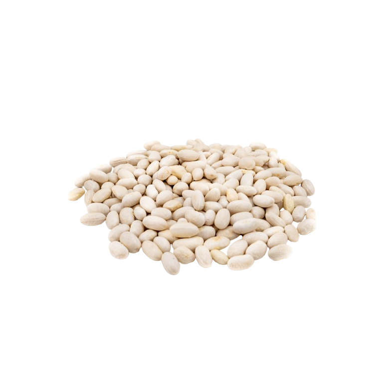 White Kidney Bean, IN BULK organic